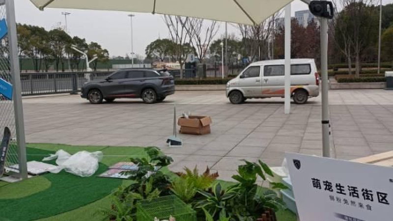 活动策划与执行：一场展览背后的“双剑合璧
